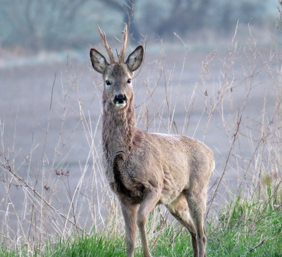 pomaly sa už do objektívu nezmestil :)