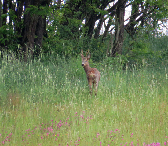 my sa už poznáme :)