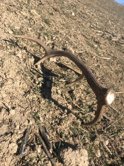 Z tých menších…