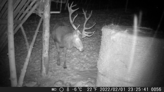 Kiežby nechal odmenu