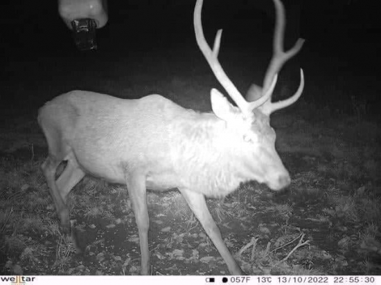 Aký vek mu odhadujete?