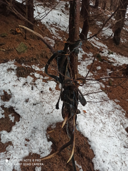 Štefánske šťastie