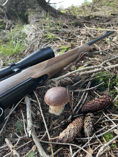 Jelením chodníčkom