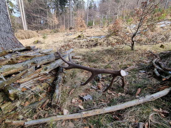 Po dlhych kilometroch..