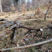 Po dlhych kilometroch..