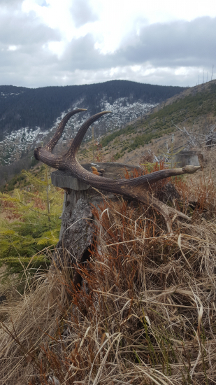 Za horami,za dolami..