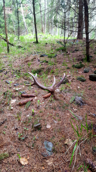 Co je doma,to se počítá..pánové