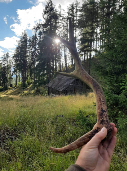 Keď ani na liečení nemáš pokoj..