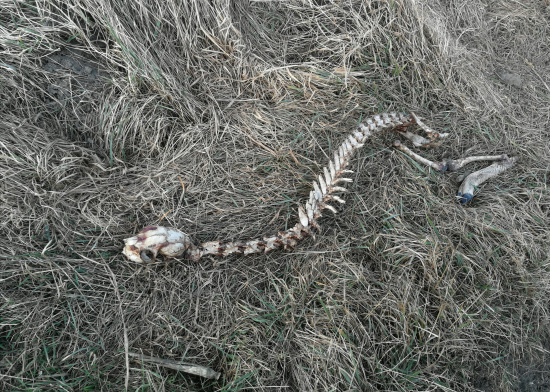 Veľa z nej nezostalo