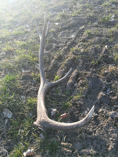 V ranných lúčoch slnka