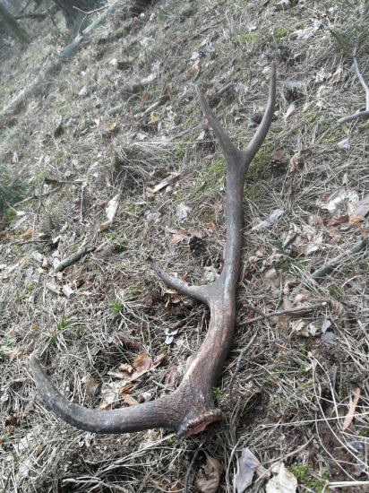 Do páru ku včerajšiemu