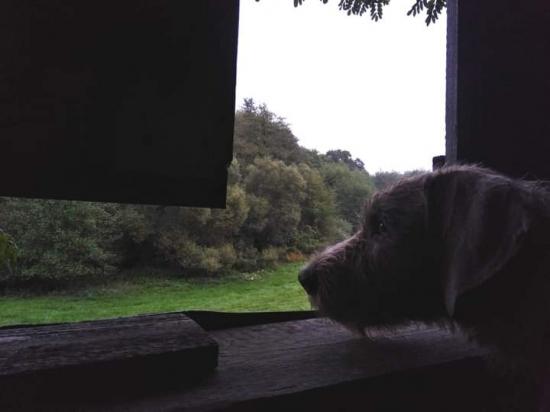 Na posede