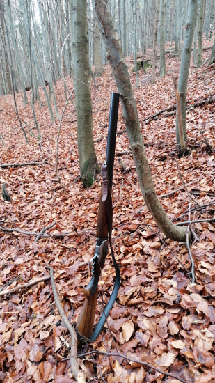 Dobrá spoločníčka do pohonu