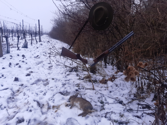 Můj první divoký králík... 29.12.2021