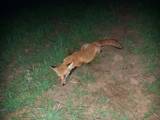 Děkuju, Huberte :-)!