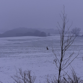 Zajíček na obnově 22.12.2022