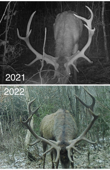 O rok starší.