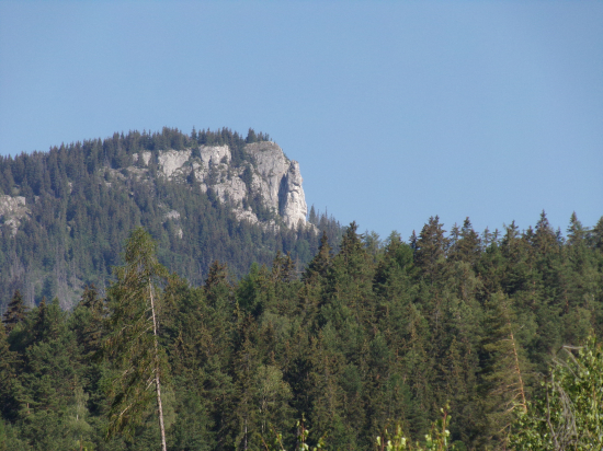 Mních