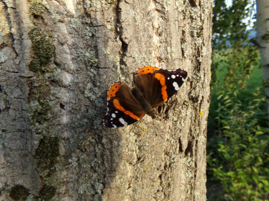 Konečne sa podarilo aj mne.
