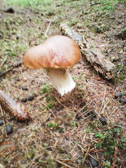 Pošťastilo sa aj mne.