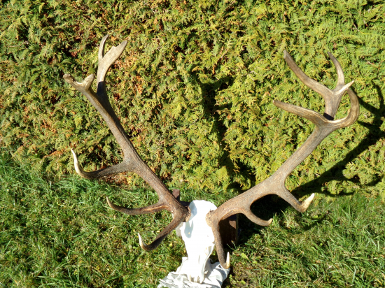 Môj životný po úprave