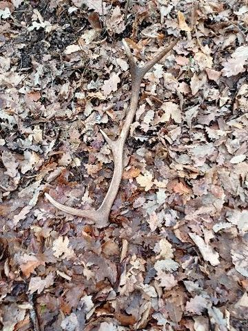 aprílové prekvapenie