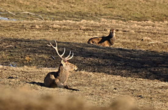 Jeden je už dole...