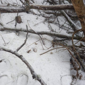 Skrytý, neskrytý mám vas