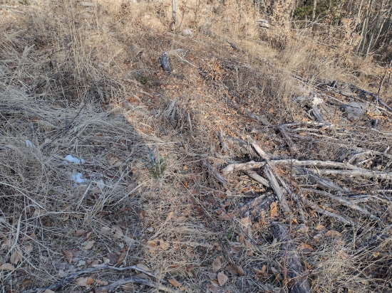 dobre zašitý, hádam aj trojročný