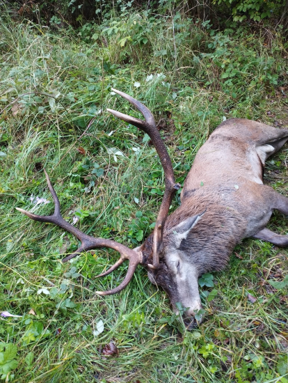 konečne sa podarilo