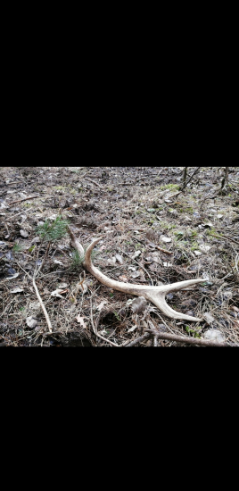 Potešenie na Duši 1*