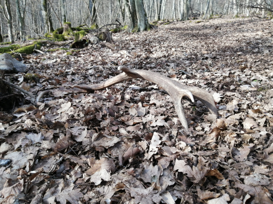 Potešenie na Duši 2*