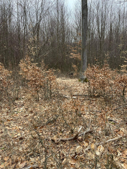 Pohľad na nezaplatenie*