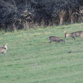 Stretko pri západe...