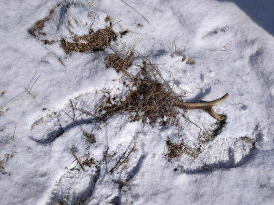 Ochrúmany desatoráčik