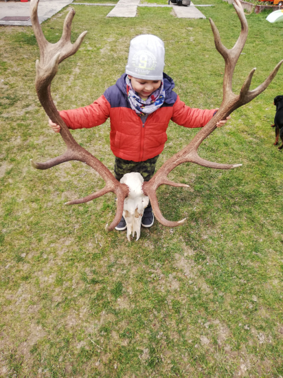 Nepravidelný dvatorak