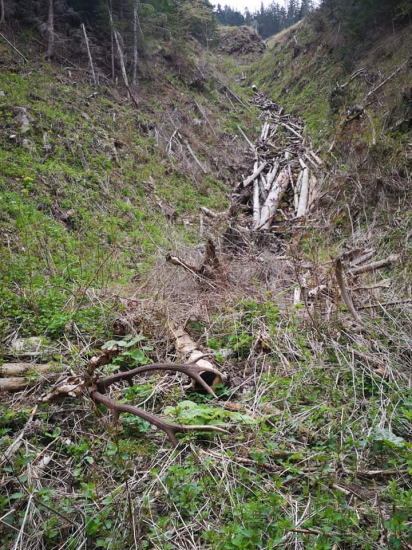 Májové prechádzky