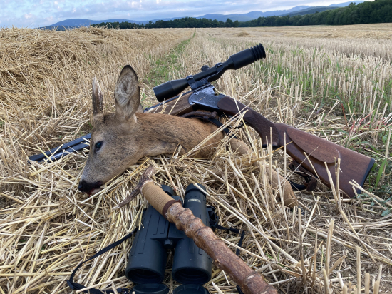 Čaro rannej posliedky