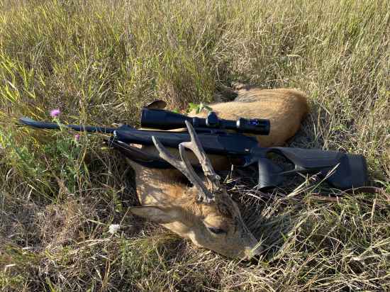 Srnec - spiatočník