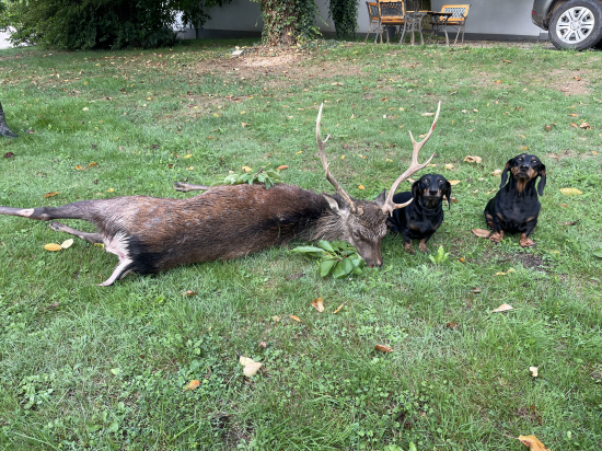 K šedesátce můj první