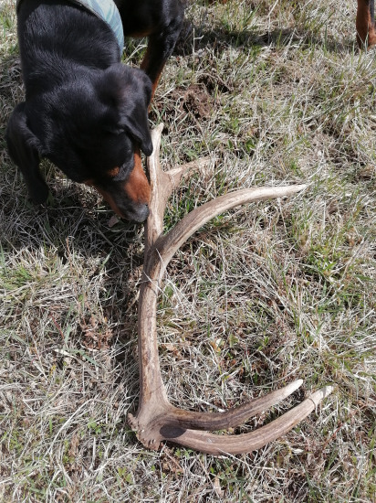 Po xxx km konecne tohorocny