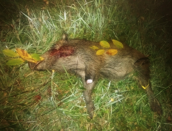 Novodobý rituál...