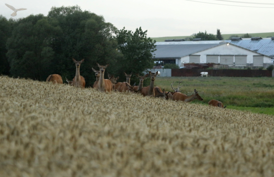 Keď počasie nepraje a prší...