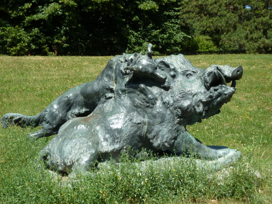 Diviak z Toplčianok