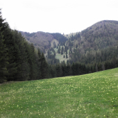 Kopanec