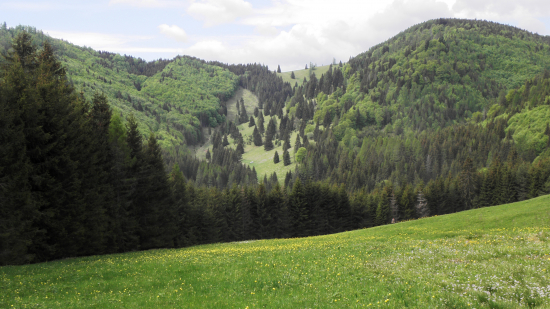 Kopanecké lúky