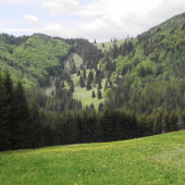 Kopanecké lúky