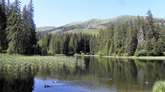 Vrbické pleso