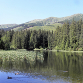 Vrbické pleso