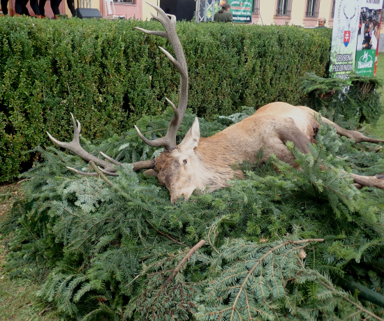 tak tradícia káže ?